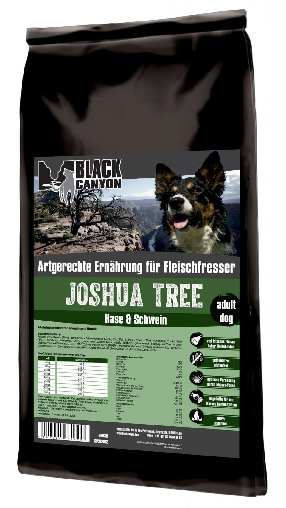 BLACK CANYON JOSHUA TREE – HASE & SCHWEIN