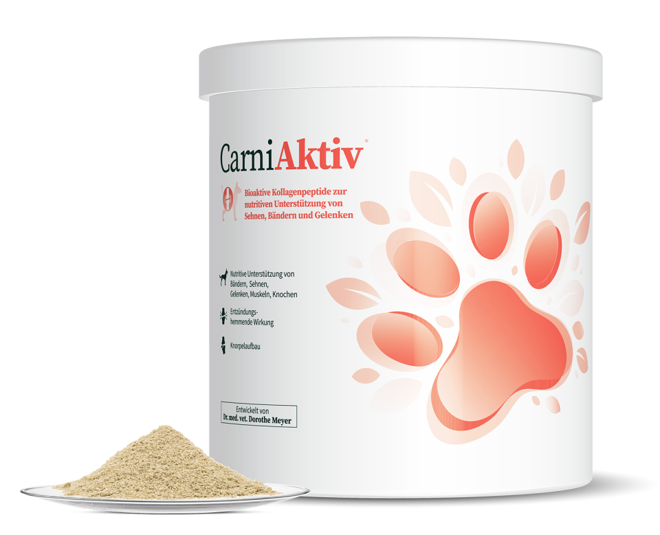 CarniAktiv 650g – Bild 2