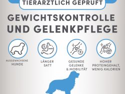 Dog Force Gewichtskontrolle und Gelenkpflege